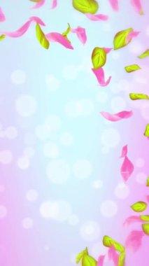 Bahar kiraz çiçeği yaprakları ve yaprakları, doğa gradyan tasarım elementi