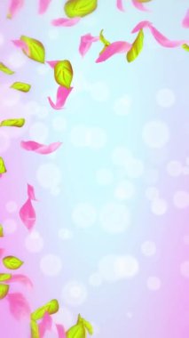 Bahar kiraz çiçeği yaprakları ve yaprakları, doğa gradyan tasarım elementi