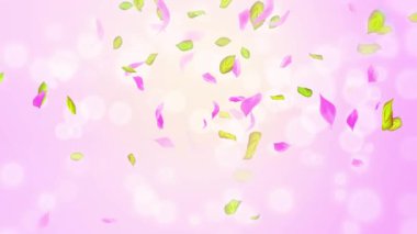 Bahar kiraz çiçeği yaprakları ve yaprakları, doğa gradyan tasarım elementi