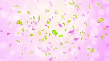 Bahar kiraz çiçeği yaprakları ve yaprakları, doğa gradyan tasarım elementi