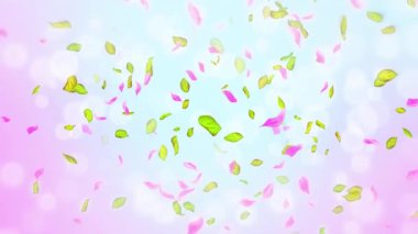 Bahar kiraz çiçeği yaprakları ve yaprakları, doğa gradyan tasarım elementi