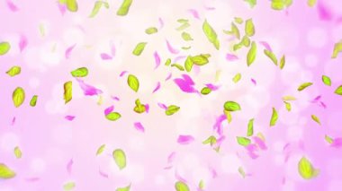 Bahar kiraz çiçeği yaprakları ve yaprakları, doğa gradyan tasarım elementi