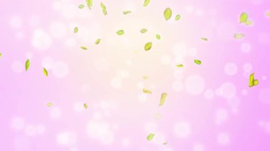 Bahar döngüsü arkaplanı, yeşil yapraklı 4K bahar arkaplanı ve bokeh