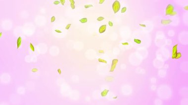 Bahar döngüsü arkaplanı, yeşil yapraklı 4K bahar arkaplanı ve bokeh