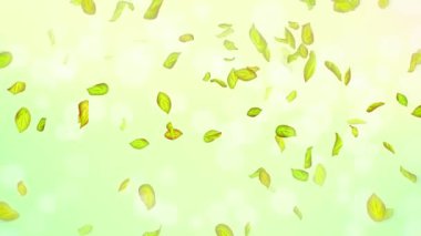 Bahar döngüsü arkaplanı, yeşil yapraklı 4K bahar arkaplanı ve bokeh