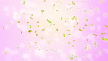 Bahar döngüsü arkaplanı, yeşil yapraklı 4K bahar arkaplanı ve bokeh