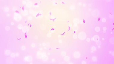 İlmek Pembe Gül Yaprakları Şelalesi Şelalesi İlkbaharda kiraz çiçeği, doğa