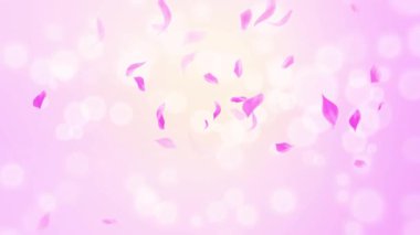 İlmek Pembe Gül Yaprakları Şelalesi Şelalesi İlkbaharda kiraz çiçeği, doğa