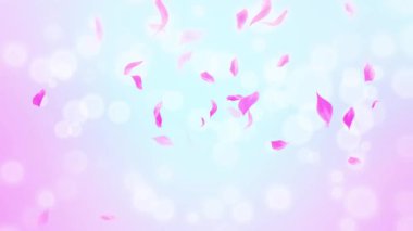 İlmek Pembe Gül Yaprakları Şelalesi Şelalesi İlkbaharda kiraz çiçeği, doğa