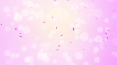 İlmek Pembe Gül Yaprakları Şelalesi Şelalesi İlkbaharda kiraz çiçeği, doğa