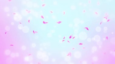 İlmek Pembe Gül Yaprakları Şelalesi Şelalesi İlkbaharda kiraz çiçeği, doğa