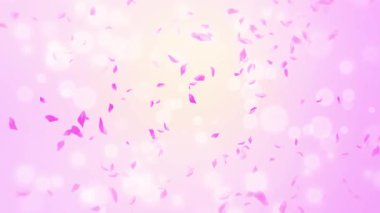 İlmek Pembe Gül Yaprakları Şelalesi Şelalesi İlkbaharda kiraz çiçeği, doğa