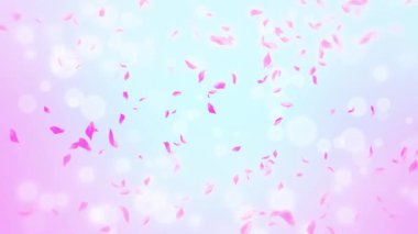 İlmek Pembe Gül Yaprakları Şelalesi Şelalesi İlkbaharda kiraz çiçeği, doğa