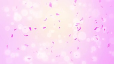 İlmek Pembe Gül Yaprakları Şelalesi Şelalesi İlkbaharda kiraz çiçeği, doğa