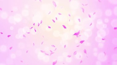 İlmek Pembe Gül Yaprakları Şelalesi Şelalesi İlkbaharda kiraz çiçeği, doğa