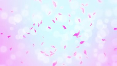 İlmek Pembe Gül Yaprakları Şelalesi Şelalesi İlkbaharda kiraz çiçeği, doğa