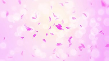 İlmek Pembe Gül Yaprakları Şelalesi Şelalesi İlkbaharda kiraz çiçeği, doğa