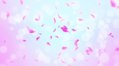 İlmek Pembe Gül Yaprakları Şelalesi Şelalesi İlkbaharda kiraz çiçeği, doğa