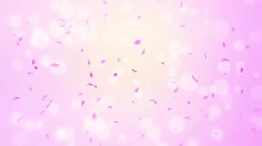 İlmek Pembe Gül Yaprakları Şelalesi Şelalesi İlkbaharda kiraz çiçeği, doğa