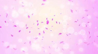 İlmek Pembe Gül Yaprakları Şelalesi Şelalesi İlkbaharda kiraz çiçeği, doğa