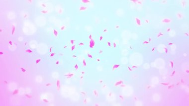 İlmek Pembe Gül Yaprakları Şelalesi Şelalesi İlkbaharda kiraz çiçeği, doğa