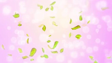 Bahar döngüsü arkaplanı, yeşil yapraklı 4K bahar arkaplanı ve bokeh