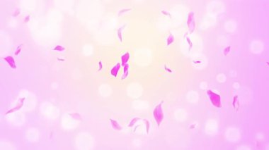 İlmek Pembe Gül Yaprakları Şelalesi Şelalesi İlkbaharda kiraz çiçeği, doğa