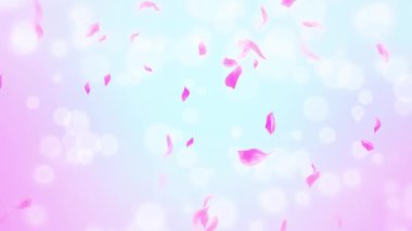 İlmek Pembe Gül Yaprakları Şelalesi Şelalesi İlkbaharda kiraz çiçeği, doğa