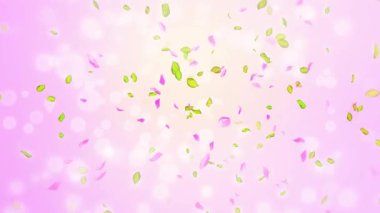 Bahar kiraz çiçeği yaprakları ve yaprakları, doğa gradyan tasarım elementi