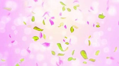 Bahar kiraz çiçeği yaprakları ve yaprakları, doğa gradyan tasarım elementi