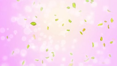 Bahar döngüsü arkaplanı, yeşil yapraklı 4K bahar arkaplanı ve bokeh