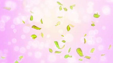 Bahar döngüsü arkaplanı, yeşil yapraklı 4K bahar arkaplanı ve bokeh