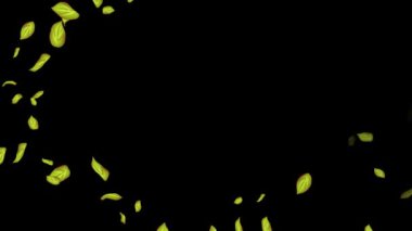 Siyah Arkaplanda Döngülü Yapraklar Animasyonu, Beyaz Arkaplan, Mavi Arkaplan