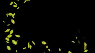 Siyah Arkaplanda Döngülü Yapraklar Animasyonu, Beyaz Arkaplan, Mavi Arkaplan