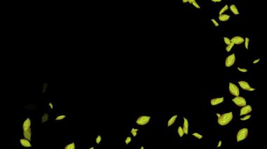 Siyah Arkaplanda Döngülü Yapraklar Animasyonu, Beyaz Arkaplan, Mavi Arkaplan