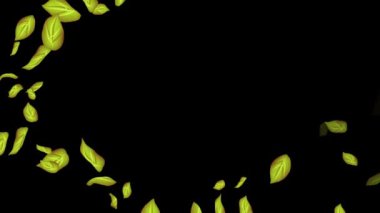 Siyah Arkaplanda Döngülü Yapraklar Animasyonu, Beyaz Arkaplan, Mavi Arkaplan