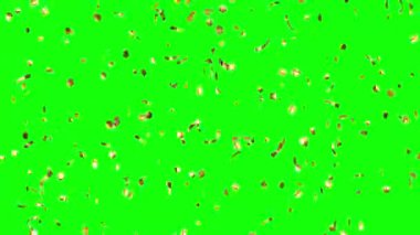 Yeşil Ekrana Düşen Altın Konfeti Animasyonu