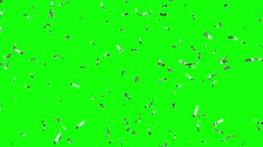 Yeşil Ekran 'a düşen Gümüş Konfetileri