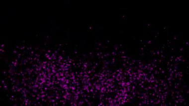 Mor konfeti patlaması. Matte Channel ile birlikte siyah, mavi ekranda.