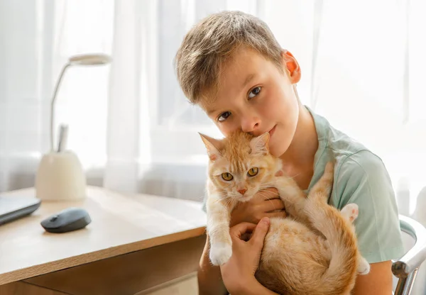 Ragazzo Animaletto Casa Bambino Abbraccia Gatto Rosso Allo Zenzero Mentre — Foto Stock