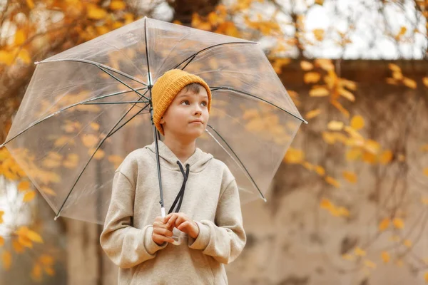 우산을 아이가 하늘을 바라보고 기다리고 있습니다 웅장한 노란색 나무의 초상화 — 스톡 사진
