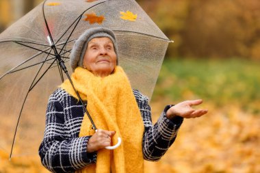 Sarı eşarplı yaşlı bir kadın, elinde bir buket sarı yaprak ve şeffaf bir şemsiye ile sonbahar parkında duruyor. Gökyüzüne bakar, yağmur yağıyor mu diye bakar..