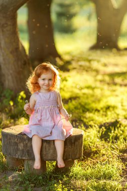 Küçük kızıl saçlı, pembe yaz elbisesi içinde küçük bir kız çıplak ayakla güneşli bir ormanda ağaçtan bir kütüğün üzerinde oturuyor, iki elinde çiçekler tutuyor ve merakla yan tarafa bakıyor.. 