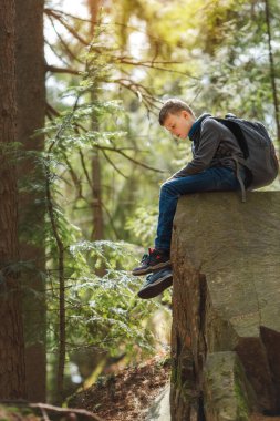 Bir çocuk yürüyüş sırasında ormanda büyük bir kayanın üzerinde oturuyor, günlük kıyafetler giyiyor ve bir sırt çantası tutuyor. Güneş ışığı ağaçların arasından süzülüp, dışarıda huzurlu bir atmosfer yaratıyor.. 