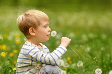 Bahar otlağında çiçek açan karahindibalarla çevrili neşeli bir çocuk. Işık, neşe ve doğada bir merak duygusu..