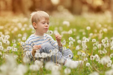 Bahar otlağında çiçek açan karahindibalarla çevrili neşeli bir çocuk. Işık, neşe ve doğada bir merak duygusu..