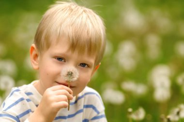 Küçük bir çocuk çiçek açan yeşil bir tarlada bir karahindiba tutuyor, saf ve huzurlu bir çocukluk sahnesini yakalıyor..