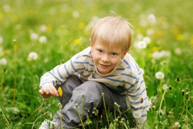 Sarışın çocuk uzun çimenlerde çömeliyor, sarı bir karahindiba tutuyor ve açık bir bahar gününde gülümsüyor..