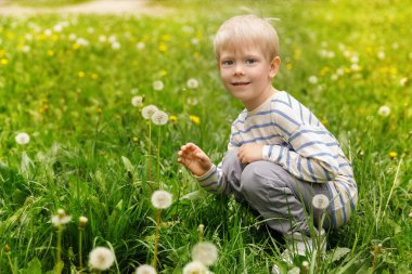 Sarı saçlı küçük çocuk çiçek açan karahindiba tarlasında oynuyor. Huzurlu ve büyülü bir bahar anı.