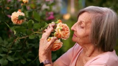 Canlı turuncu güllerin yanında yaşlı bir kadının boynunu, yüzünü ve omzunu gösteren dar bir çerçeve. Onları koklamakla, uzaklara bakmak arasında gidip geliyor..